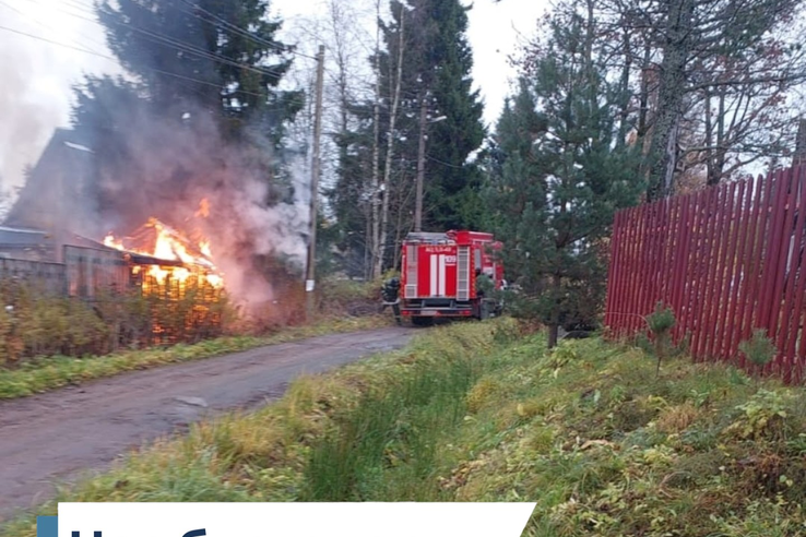 НАС БЛАГОДАРЯТ!