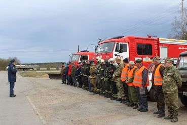 в Путиловском поселении ликвидировали условный природный пожар