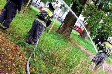 Сила, ловкость и выносливость!