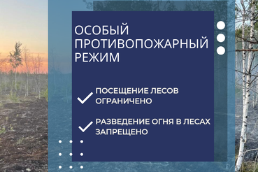 В регионе объявлен особый противопожарный режим.