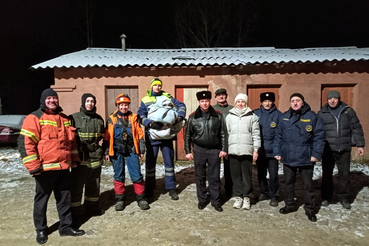 Больше 9 дней спасали дерзкого кота в Сланцах.