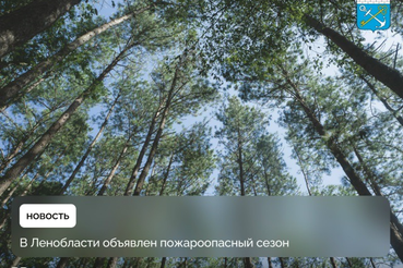 В лесах Ленинградской области объявлен пожароопасный сезон