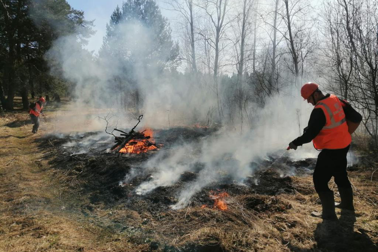 Межведомственные учения по тушению лесных пожаров